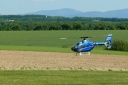 Heli